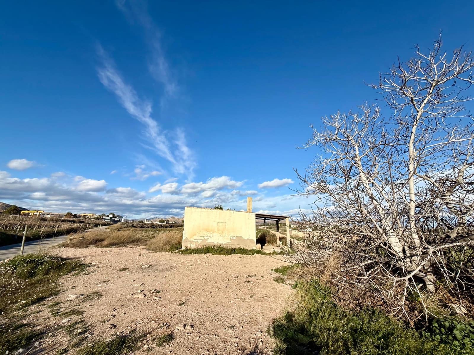 Grunde uden byggetilladelser til salg i Novelda - € 120.000 (Ref: 9568509)