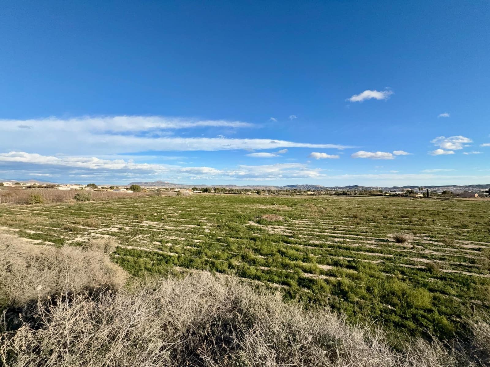 Grunde uden byggetilladelser til salg i Novelda - € 120.000 (Ref: 9568509)