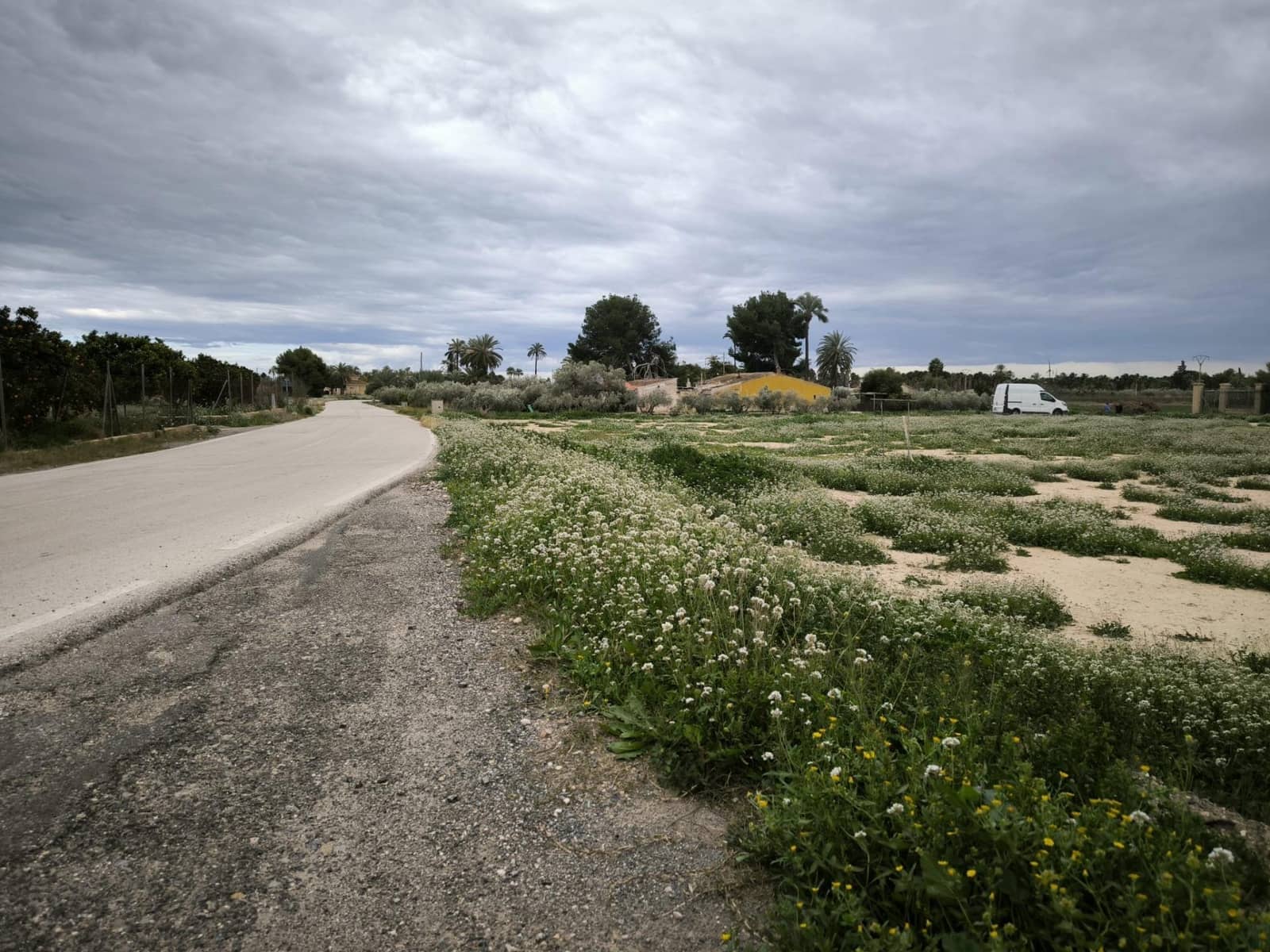 Grunde uden byggetilladelser til salg i Elche / Elx - € 49.000 (Ref: 9571117)