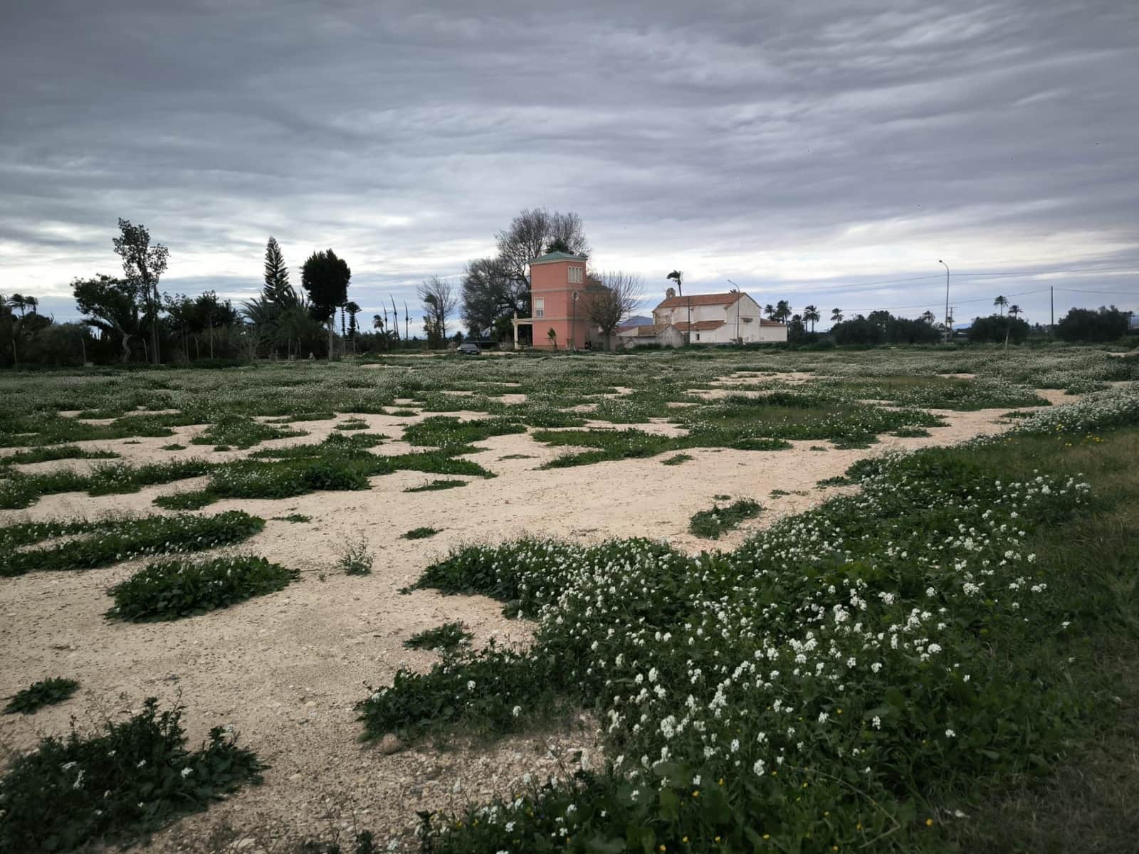 Grunde uden byggetilladelser til salg i Elche / Elx - € 49.000 (Ref: 9571117)