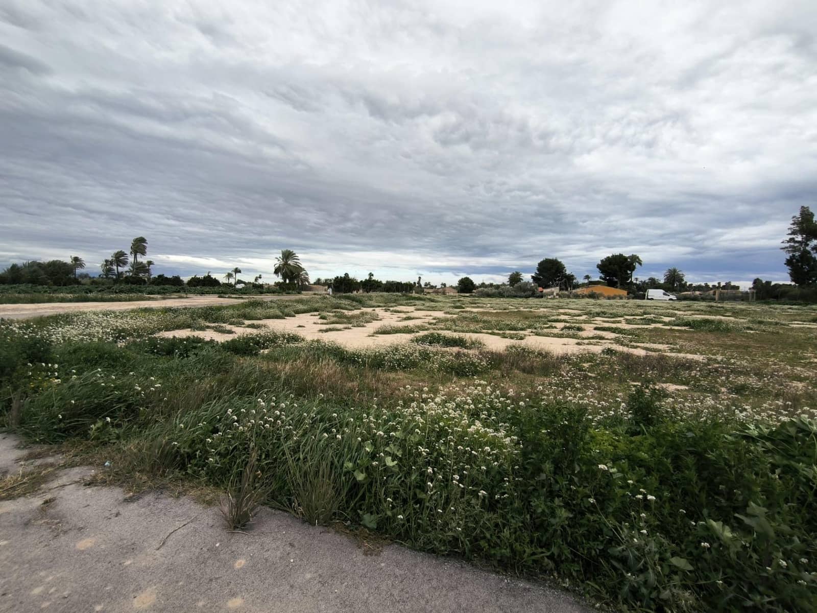 Grunde uden byggetilladelser til salg i Elche / Elx - € 49.000 (Ref: 9571117)