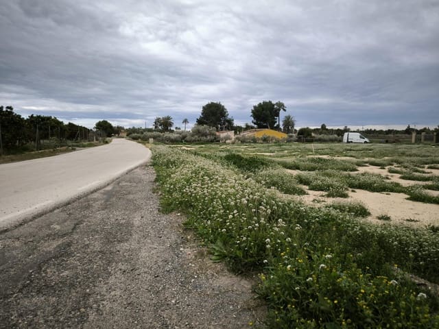 Grunde uden byggetilladelser til salg i Elche / Elx - € 49.000 (Ref: 9571117)