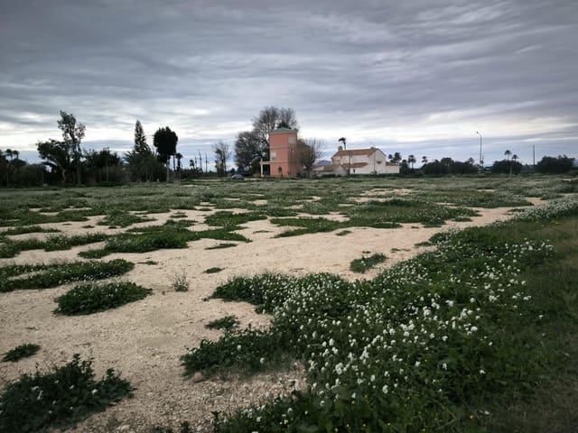 Grunde uden byggetilladelser til salg i Elche / Elx - € 49.000 (Ref: 9571117)