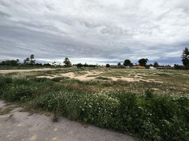 Grunde uden byggetilladelser til salg i Elche / Elx - € 49.000 (Ref: 9571117)