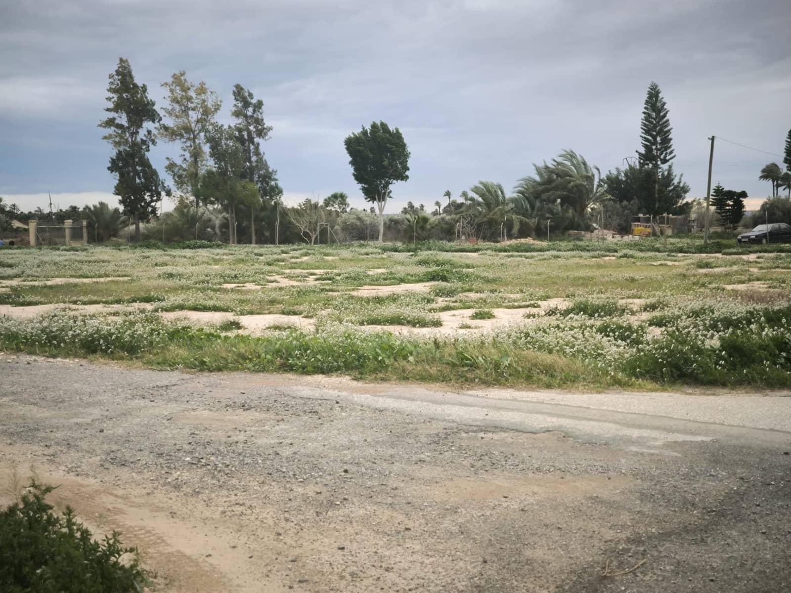 Grunde uden byggetilladelser til salg i Elche / Elx - € 49.000 (Ref: 9571117)