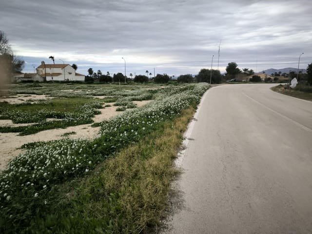 Grunde uden byggetilladelser til salg i Elche / Elx - € 49.000 (Ref: 9571117)