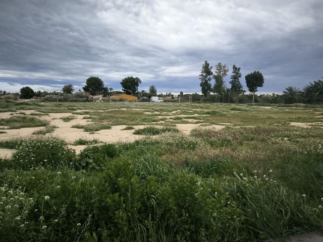 Grunde uden byggetilladelser til salg i Elche / Elx - € 49.000 (Ref: 9571117)