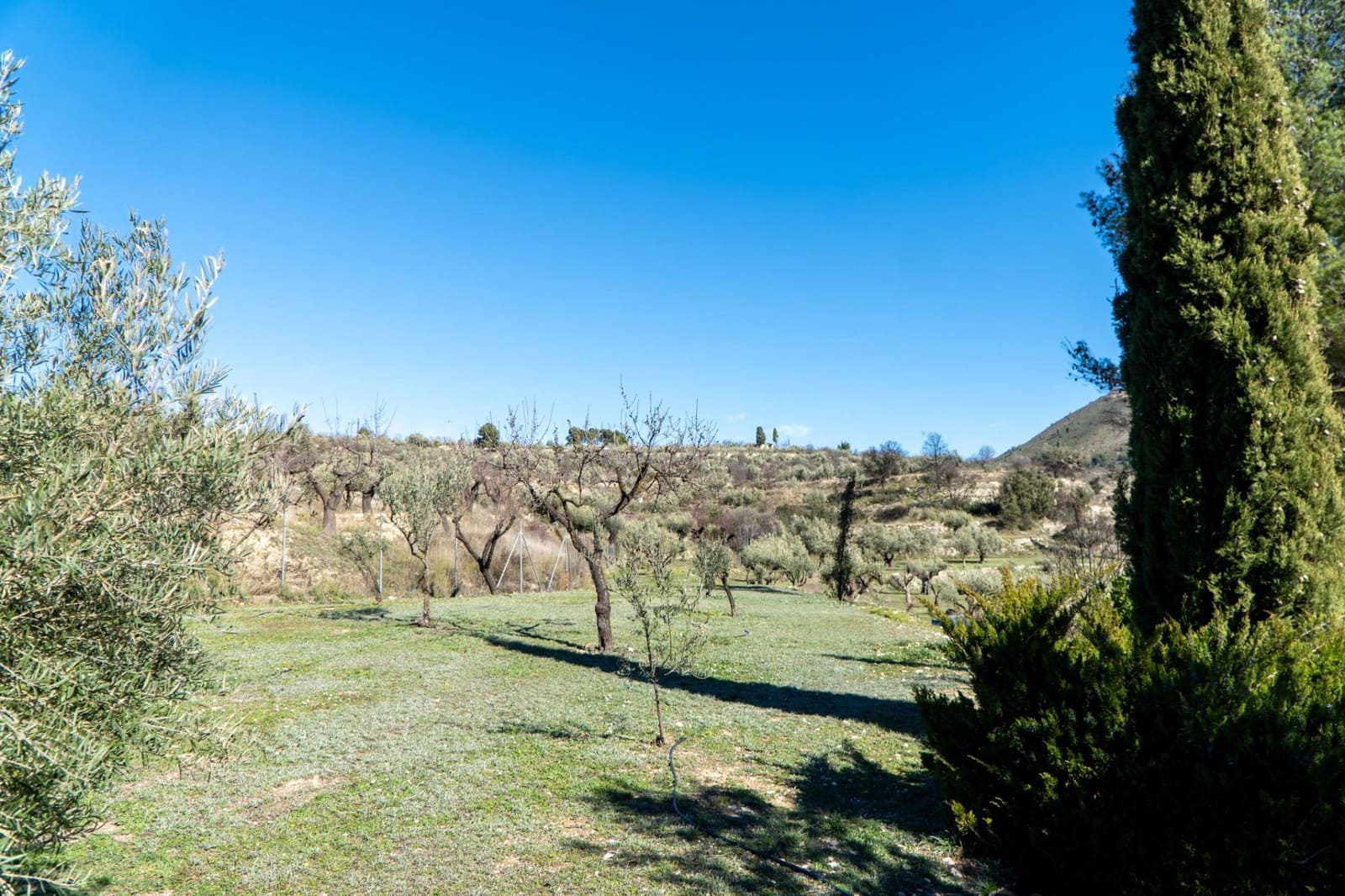 4 Zimmer Finca/Landgut zu verkaufen in Penaguila mit Pool Garage - 690.000 € (Ref: 9574575)