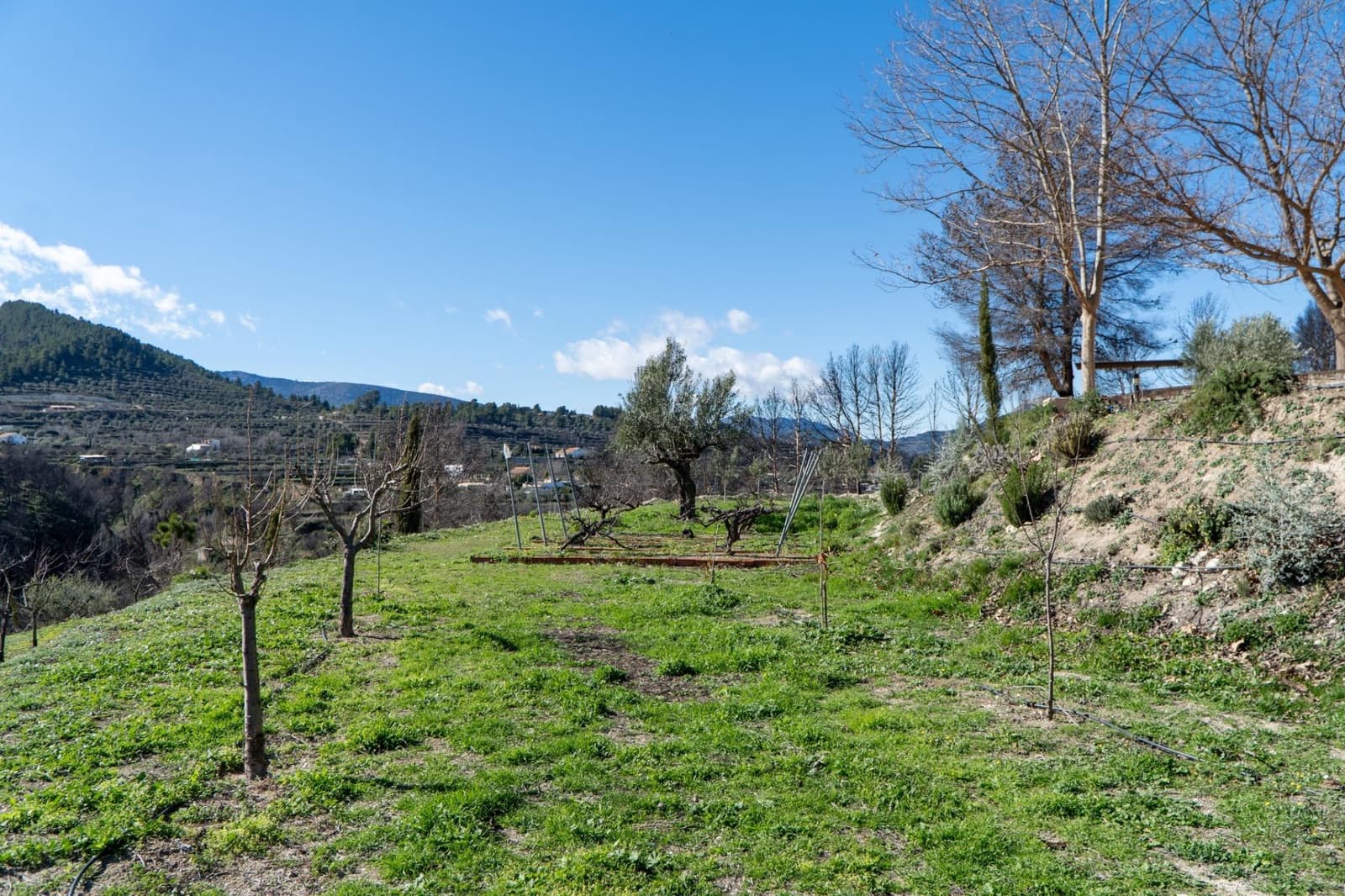 4 Zimmer Finca/Landgut zu verkaufen in Penaguila mit Pool Garage - 690.000 € (Ref: 9574575)