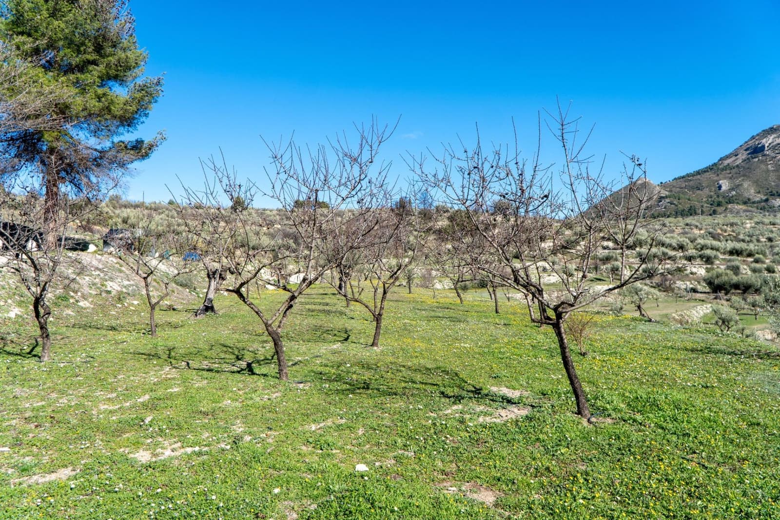 4 Zimmer Finca/Landgut zu verkaufen in Penaguila mit Pool Garage - 690.000 € (Ref: 9574575)