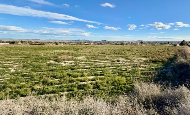 Grunde uden byggetilladelser til salg i Novelda - € 68.000 (Ref: 9574577)