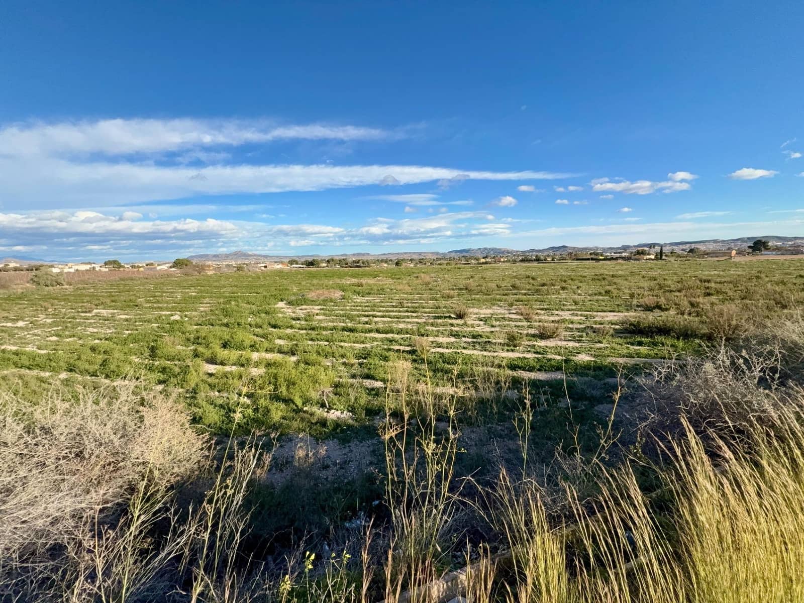 Grunde uden byggetilladelser til salg i Novelda - € 68.000 (Ref: 9574577)