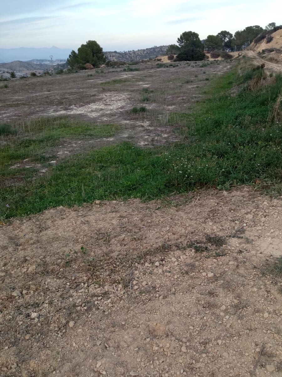 Terreno Non Edificato in vendita in Aspe - 49.000 € (Rif: 9586385)