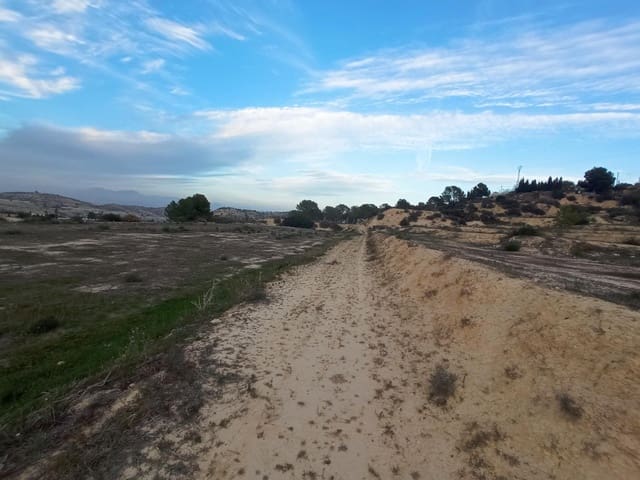 Terreno Non Edificato in vendita in Aspe - 49.000 € (Rif: 9586385)