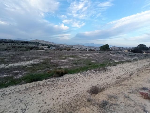 Terreno Non Edificato in vendita in Aspe - 49.000 € (Rif: 9586385)