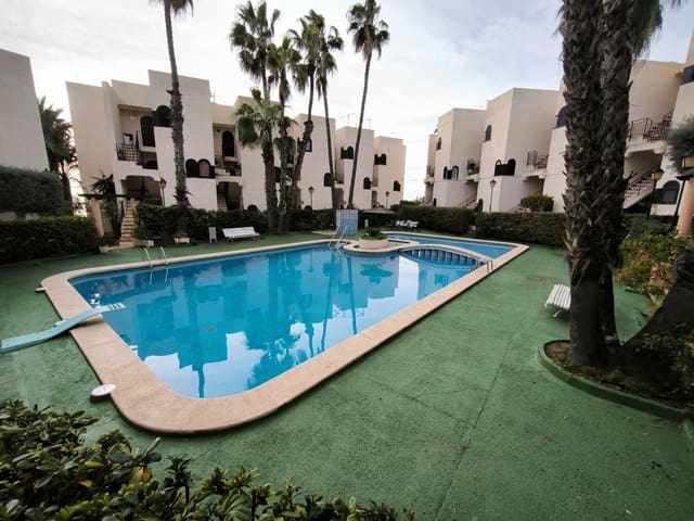 1 slaapkamer Appartement te huur in Parque Acuático - Sector 25, Torrevieja - € 750 (Ref: 9586386)