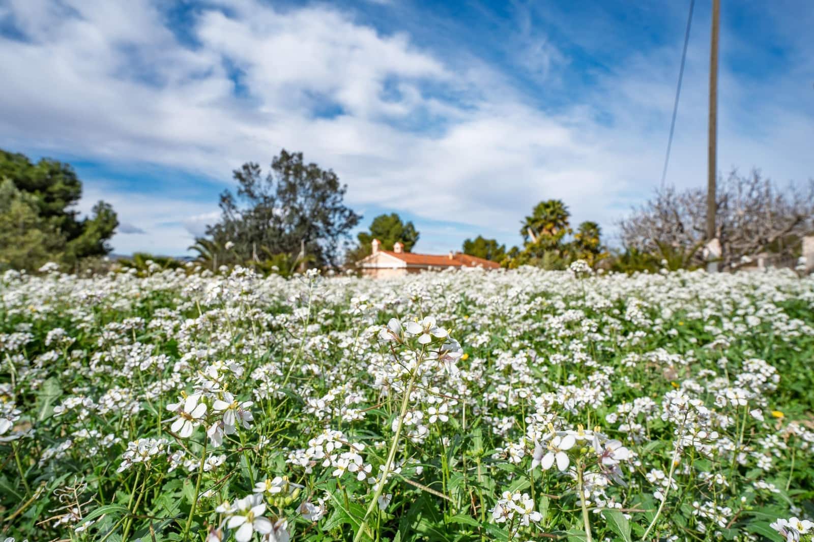 4 Zimmer Villa zu verkaufen in Novelda mit Pool Garage - 450.000 € (Ref: 9596060)