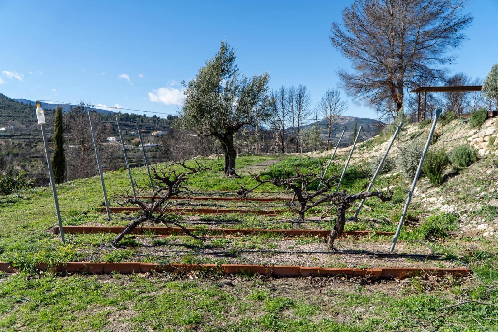 4 sovrum Finca/Hus på landet till salu i Penaguila med pool garage - 675 000 € (Ref: 9604926)