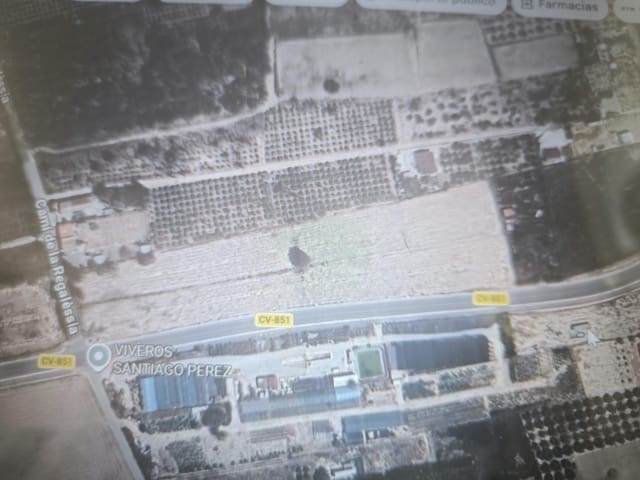 Undeveloped Land for sale in Daimes, Elche / Elx - € 134,900 (Ref: 9615371)