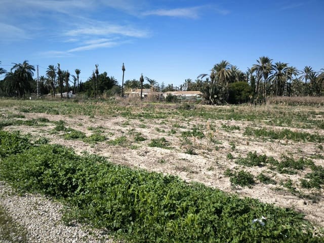 Undeveloped Land for sale in Daimes, Elche / Elx - € 134,900 (Ref: 9615371)