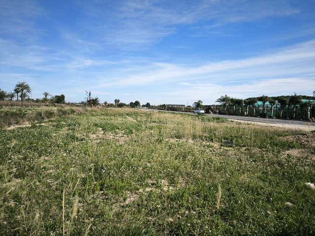 Undeveloped Land for sale in Daimes, Elche / Elx - € 134,900 (Ref: 9615371)