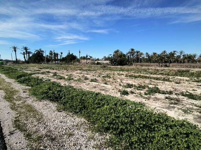 Undeveloped Land for sale in Daimes, Elche / Elx - € 134,900 (Ref: 9615371)