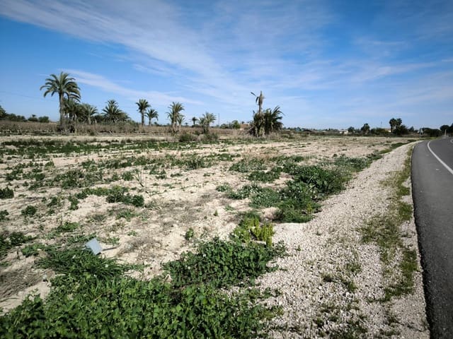 Undeveloped Land for sale in Daimes, Elche / Elx - € 134,900 (Ref: 9615371)