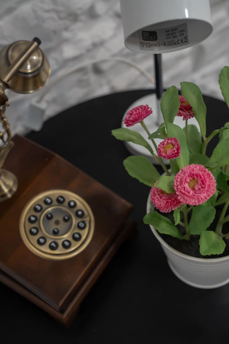 3 chambre Appartement à vendre à Novelda - 199 000 € (Ref: 9659364)