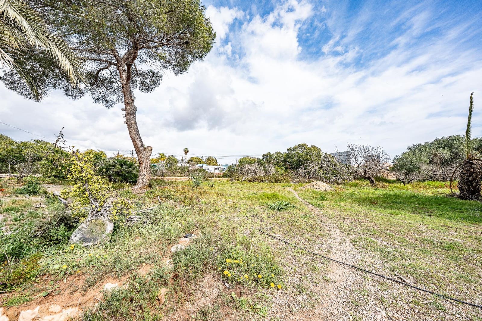 4 chambre Villa/Maison à vendre à Orihuela Costa avec piscine garage - 579 900 € (Ref: 9666443)