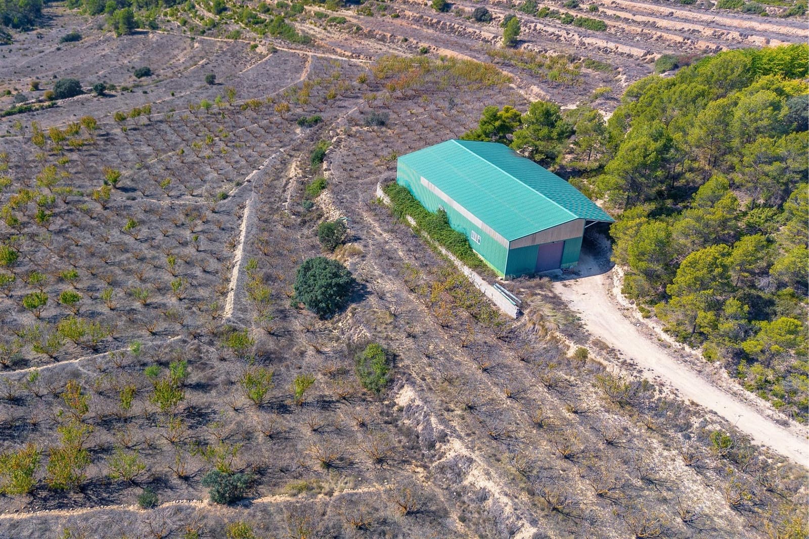 7 bedroom Villa for sale in Penaguila with pool garage - € 13,000,000 (Ref: 9686363)