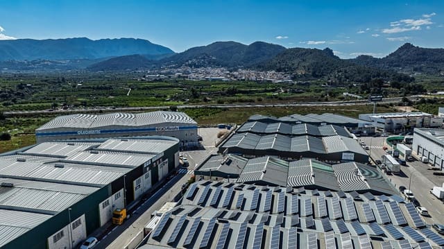 4 chambre Entreprise à vendre à Palma de Gandía - 500 000 € (Ref: 9721638)