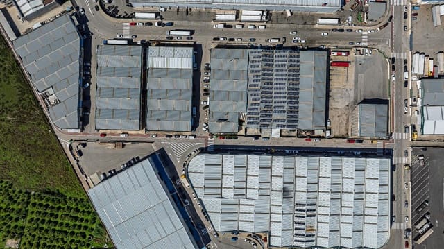 4 chambre Entreprise à vendre à Palma de Gandía - 500 000 € (Ref: 9721638)