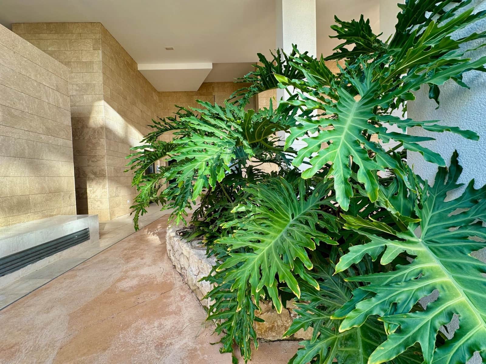 2 Zimmer Apartment zu verkaufen in La Villajoyosa / Vila Joiosa mit Pool - 480.000 € (Ref: 9758919)