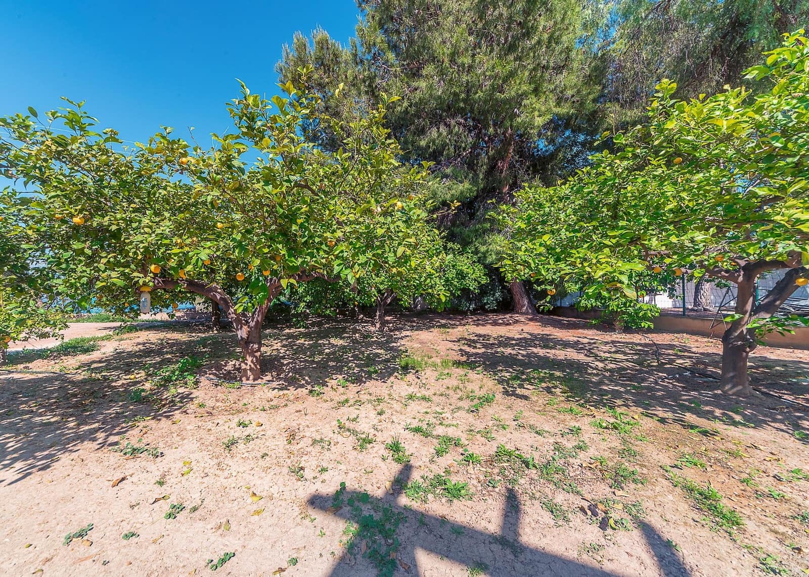 Chalet de 4 habitaciones en Cañada del Fenollar en venta con piscina garaje - 469.000 € (Ref: 9811522)