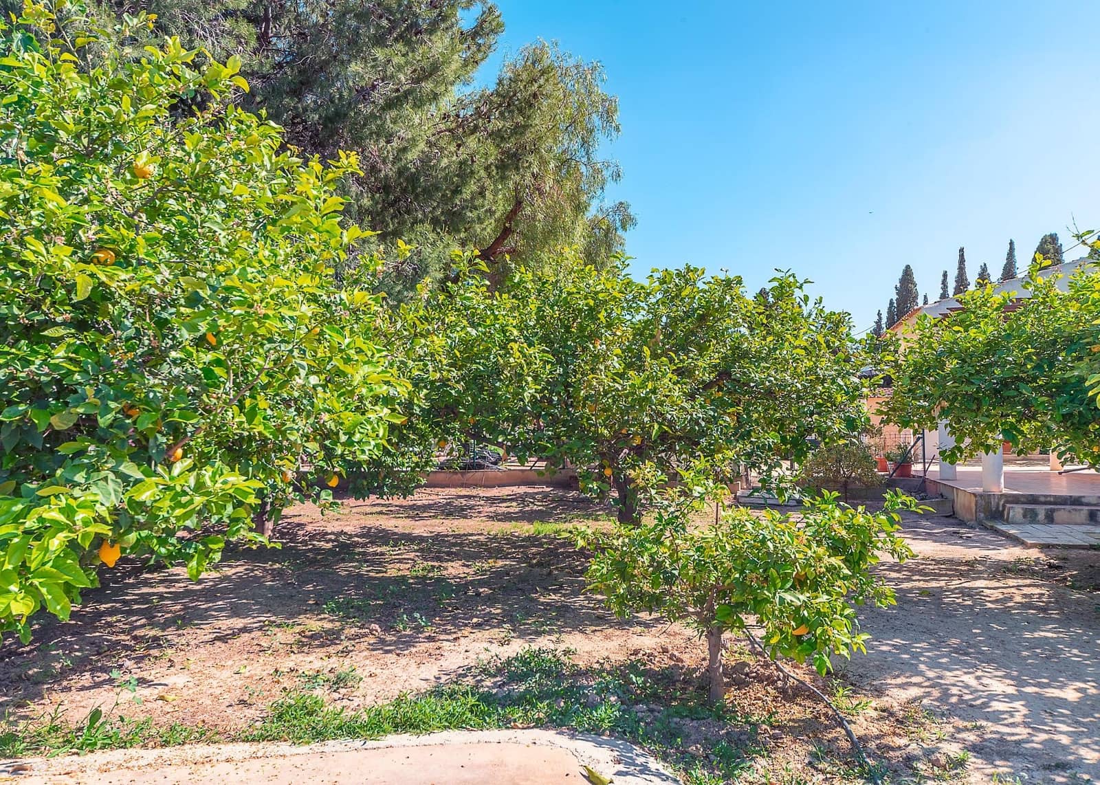 Chalet de 4 habitaciones en Cañada del Fenollar en venta con piscina garaje - 469.000 € (Ref: 9811522)