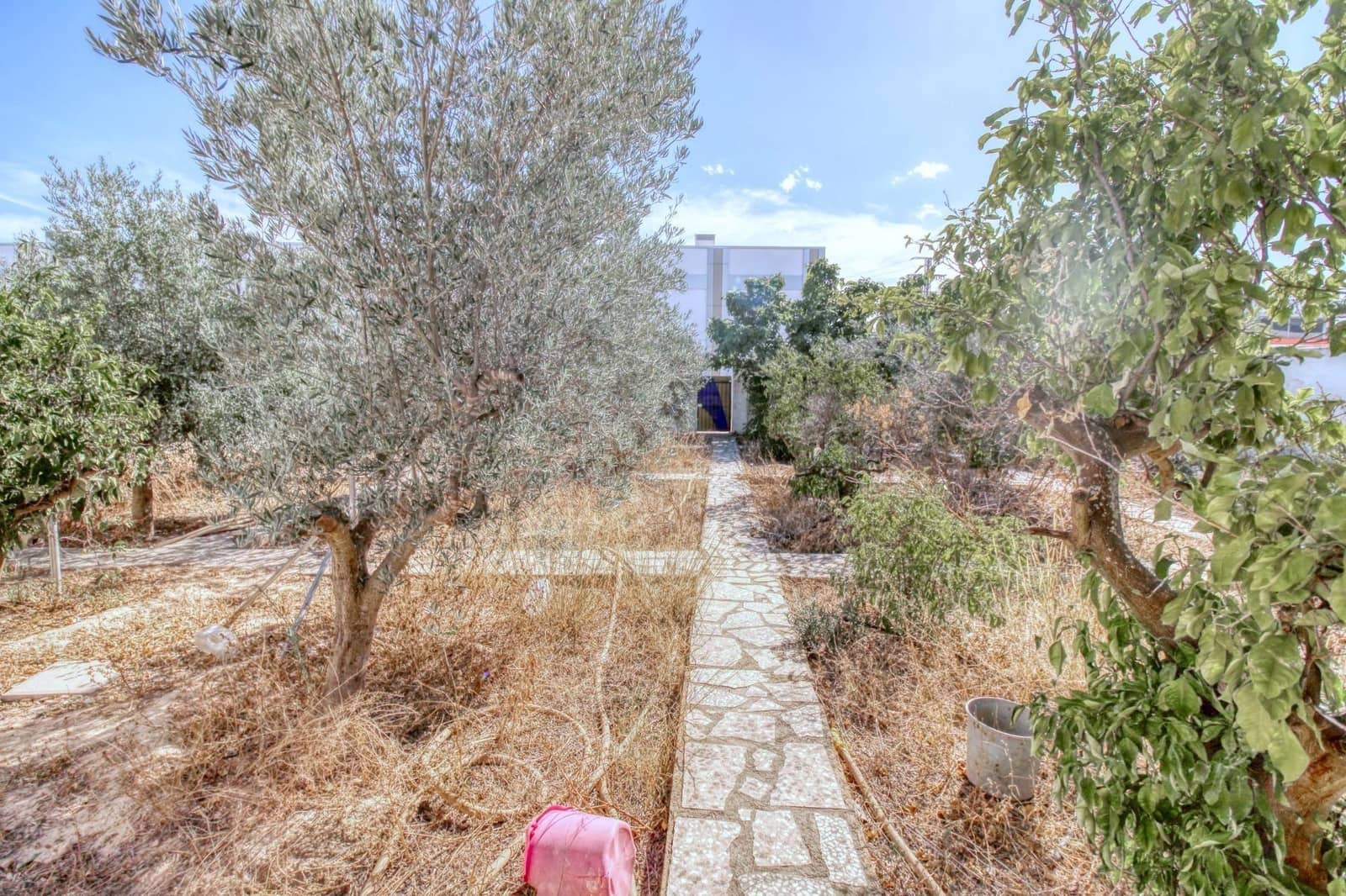 Bauplatz zu verkaufen in Rojales - 224.000 € (Ref: 9813430)