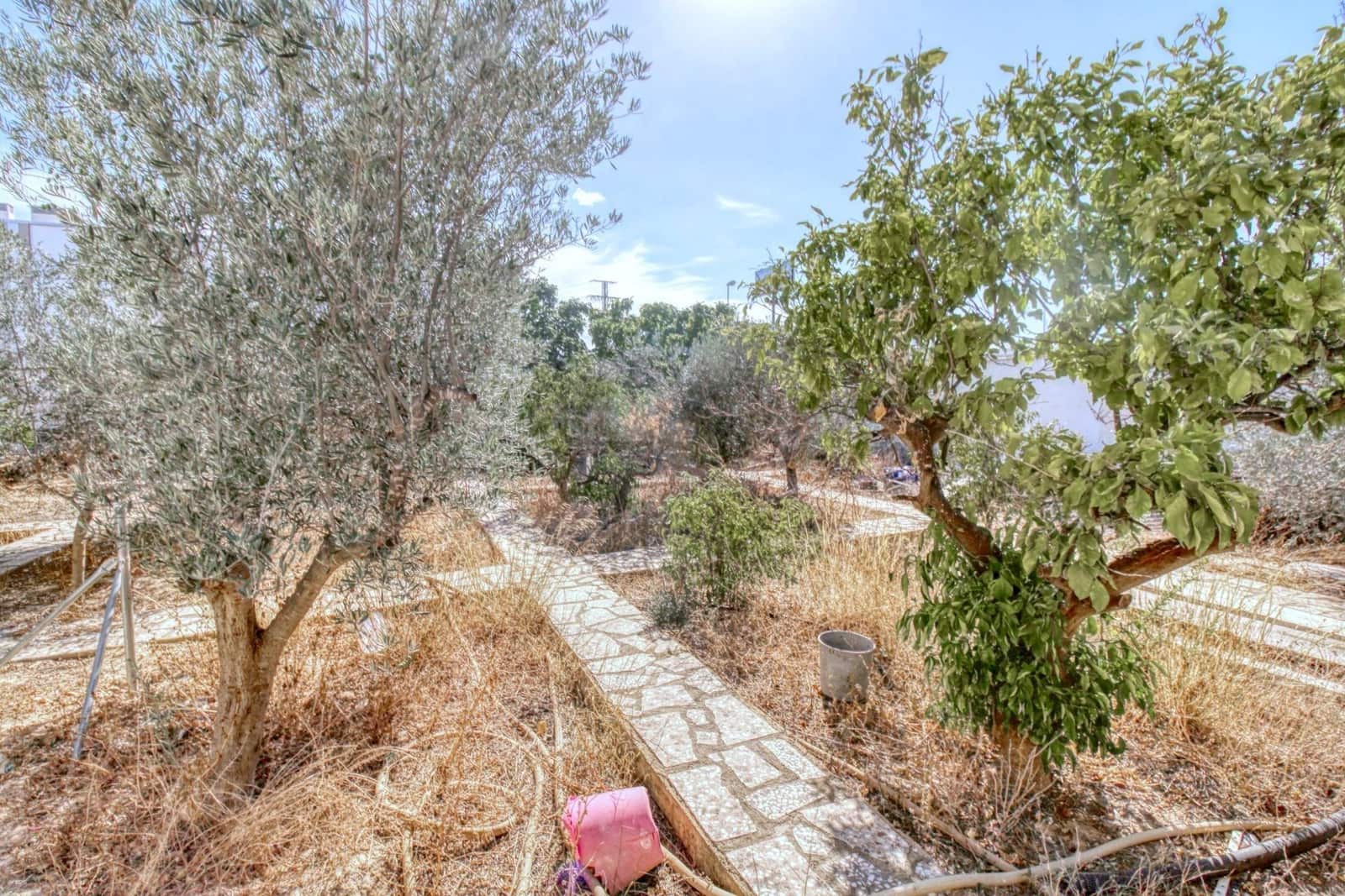 Bauplatz zu verkaufen in Rojales - 224.000 € (Ref: 9813430)