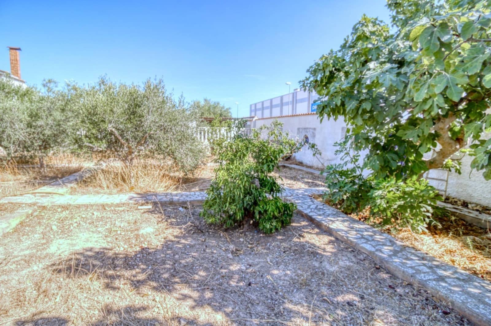 Bauplatz zu verkaufen in Rojales - 224.000 € (Ref: 9813430)