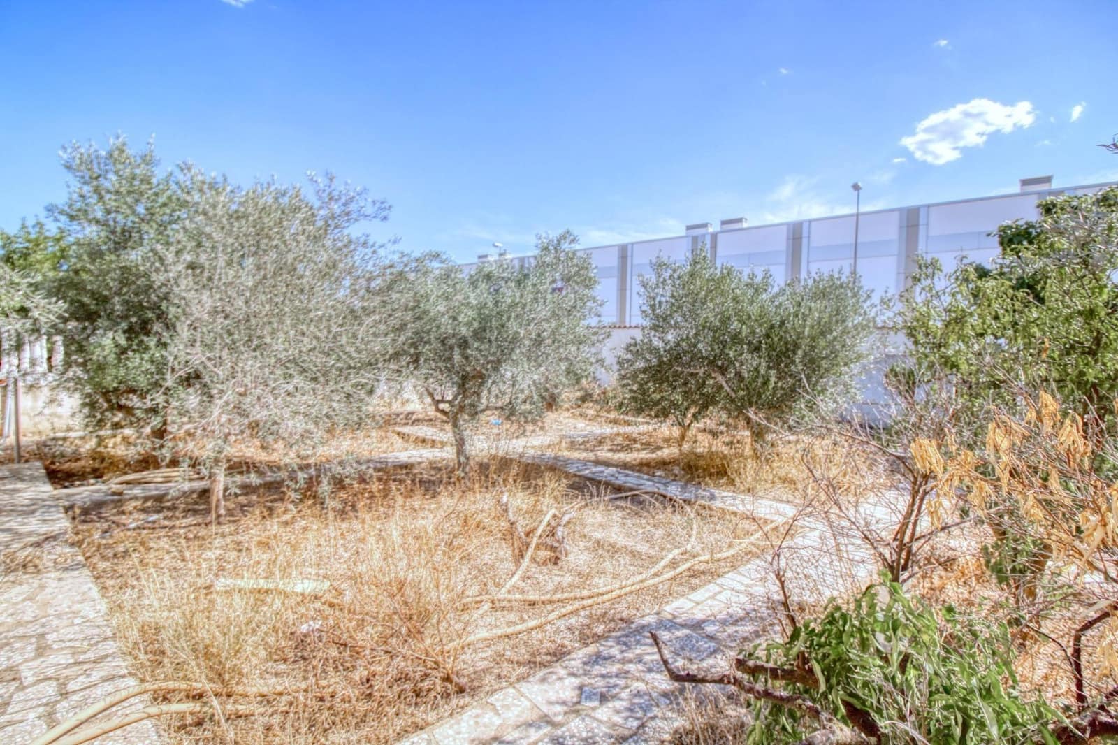 Bauplatz zu verkaufen in Rojales - 224.000 € (Ref: 9813430)