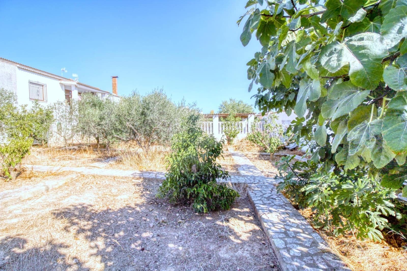 Bauplatz zu verkaufen in Rojales - 224.000 € (Ref: 9813430)