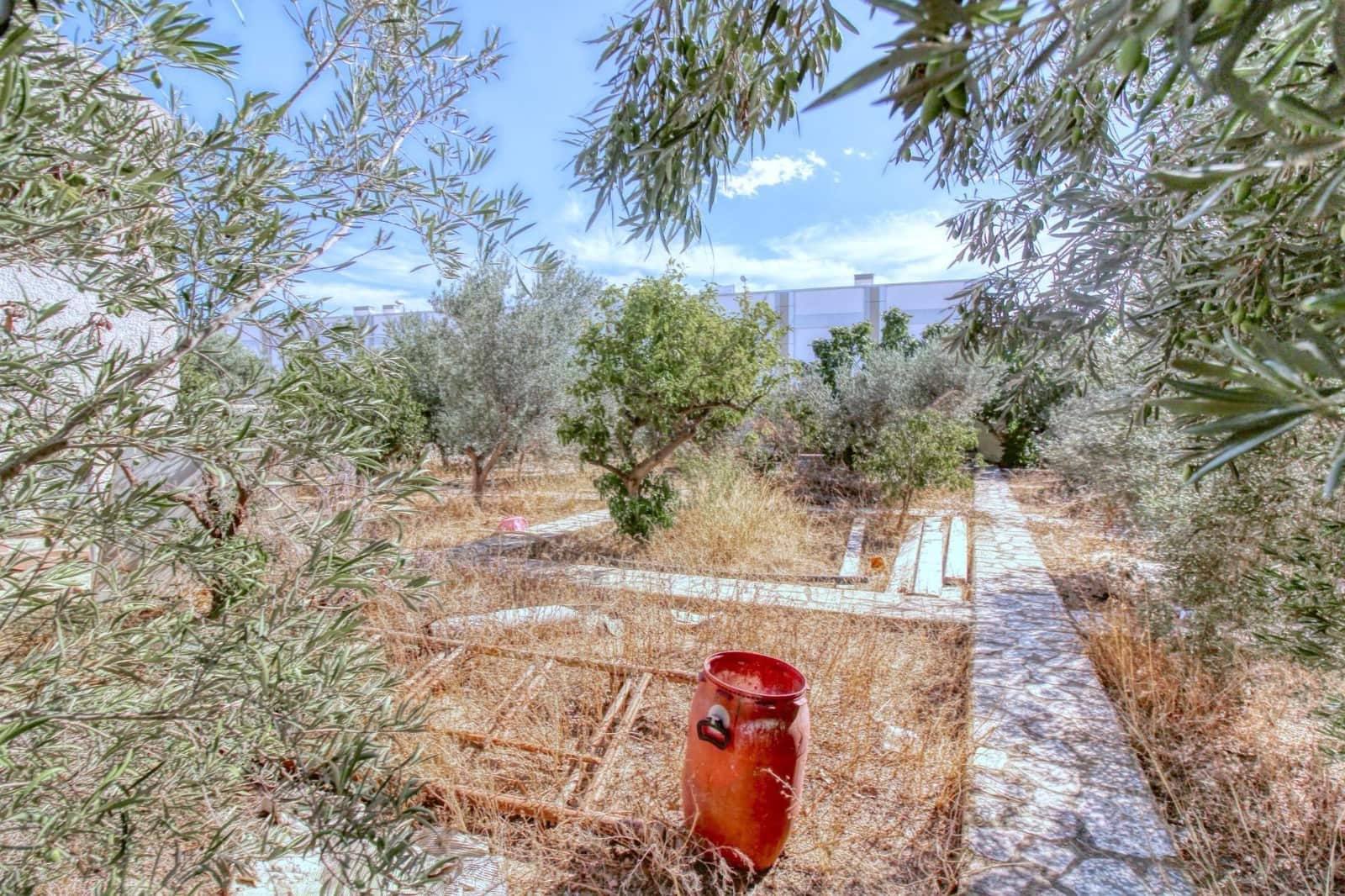 Bauplatz zu verkaufen in Rojales - 224.000 € (Ref: 9813430)