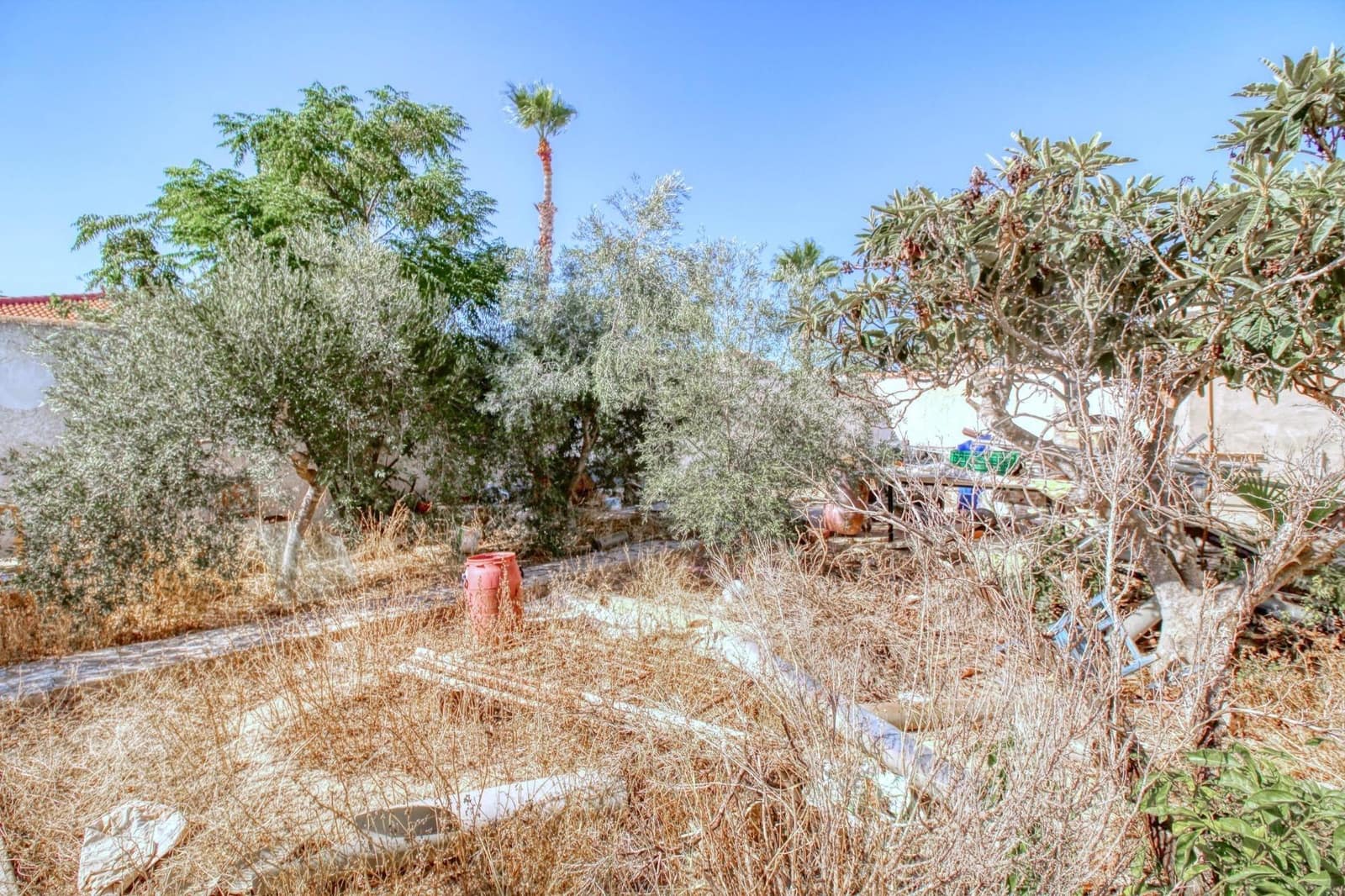 Bauplatz zu verkaufen in Rojales - 224.000 € (Ref: 9813430)