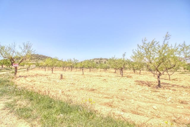 Solar/Parcela en Abanilla en venta - 55.000 € (Ref: 9813437)
