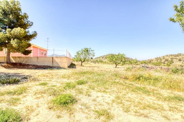 Solar/Parcela en Abanilla en venta - 55.000 € (Ref: 9813437)