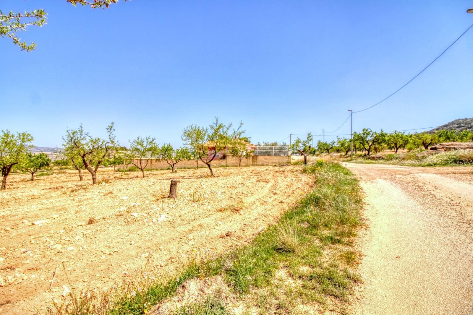 Solar/Parcela en Abanilla en venta - 55.000 € (Ref: 9813437)