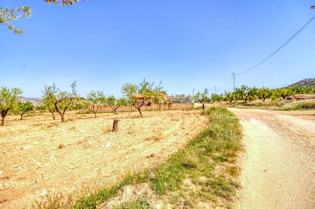 Solar/Parcela en Abanilla en venta - 55.000 € (Ref: 9813437)