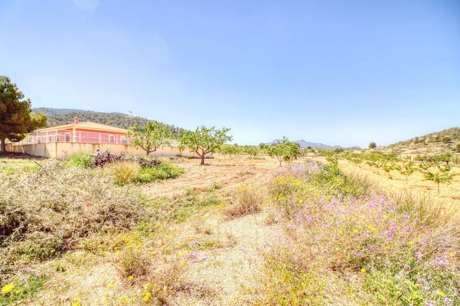 Solar/Parcela en Abanilla en venta - 55.000 € (Ref: 9813437)