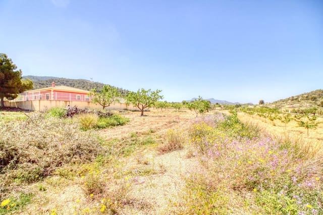 Solar/Parcela en Abanilla en venta - 55.000 € (Ref: 9813437)