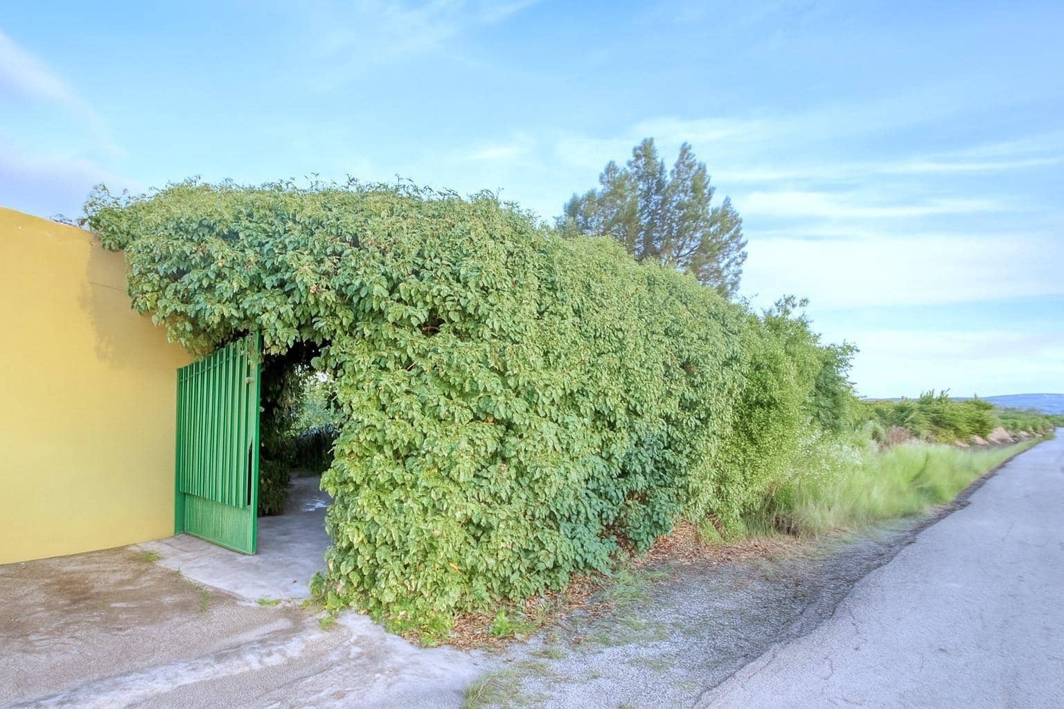 2 camera da letto Finca/Casa di Campagna in vendita in Albatera con piscina - 180.000 € (Rif: 9813440)