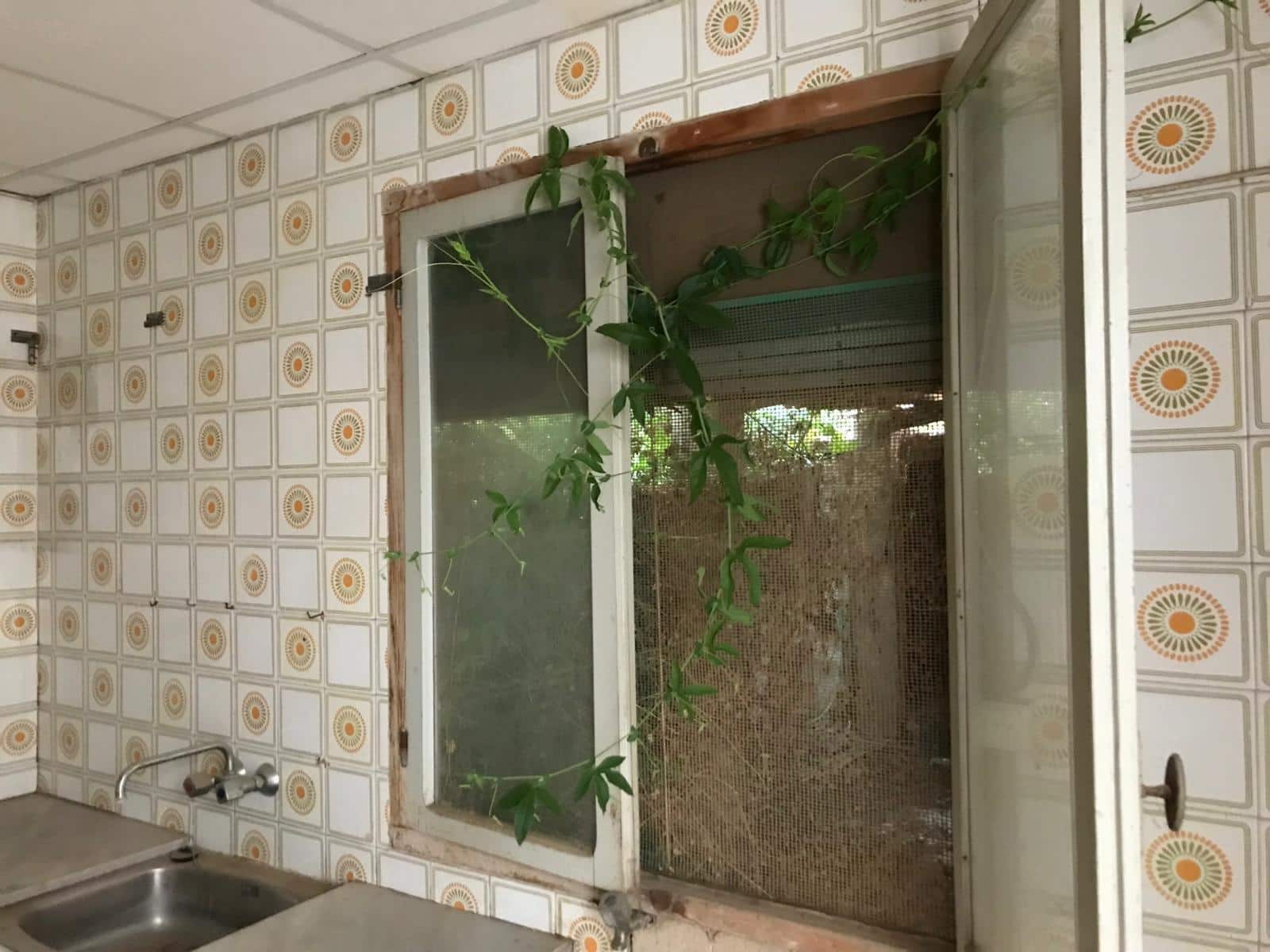 3 slaapkamer Huis te koop in Benejuzar - € 95.000 (Ref: 9813441)